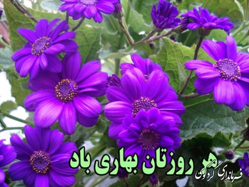 تبریک بخشدار مرکزی به مناسبت سال جدید"95"