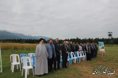 فرماندارکردکوی در صبحگاه مشترک ناحیه مقاومت بسیج سپاه کردکوی شرکت کرد