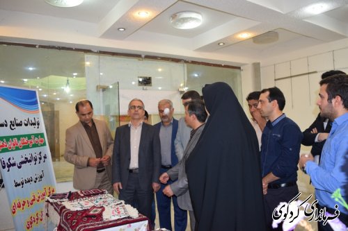 با حضور فرماندارنمایشگاه دستاوردهای کارآموزان فنی وحرفه ای افتتاح شد.