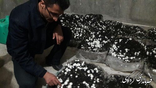 تجلیل از تلاشگران عرصه اقتصاد مقاومتی با حضور بخشدار مرکزی کردکوی