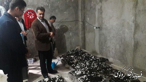 تجلیل از تلاشگران عرصه اقتصاد مقاومتی با حضور بخشدار مرکزی کردکوی