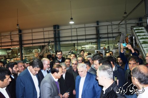 حضور دکتر محمد باقر نوبخت ،معاون رییس جمهور و رییس سازمان مدیریت و برنامه ریزی کشور و مقامات استانی و شهرستانی 
