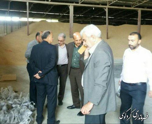 بازدید جمالی فرماندار و مدیرکل هماهنگی امور اقتصادی استان از مراکز تحویل و خرید کلزا شهرستان 