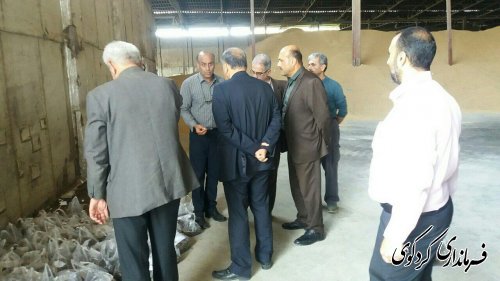 بازدید جمالی فرماندار و مدیرکل هماهنگی امور اقتصادی استان از مراکز تحویل و خرید کلزا شهرستان 