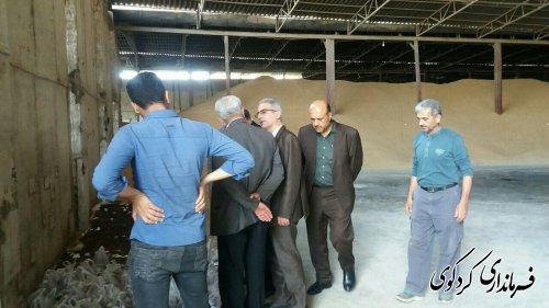 بازدید جمالی فرماندار و مدیرکل هماهنگی امور اقتصادی استان از مراکز تحویل و خرید کلزا شهرستان 