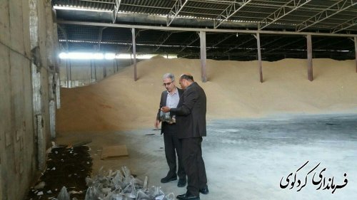 بازدید جمالی فرماندار و مدیرکل هماهنگی امور اقتصادی استان از مراکز تحویل و خرید کلزا شهرستان 