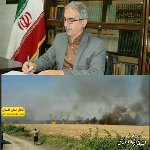 تحویل حدود 62000تن گندم تاکنون   / تکذیب آتش سوزی 50هکتار از اراضی گندم شهرستان در شبکه های مجازی