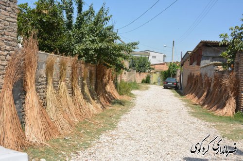 تقدیر از دختران عرصه اقتصاد مقاومتی و کارآفرین شهرستان کردکوی 