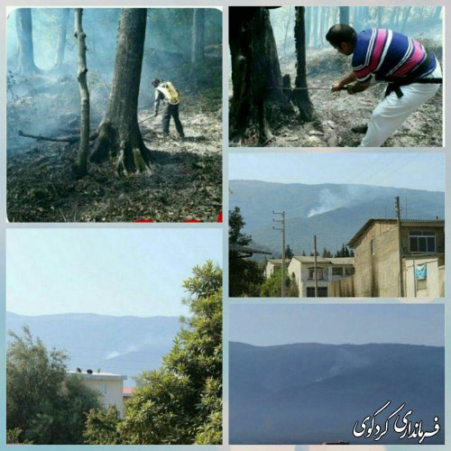 با حضور بموقع عوامل و اعضای مدیریت بحران شهرستان اتش سوزی در جنگل کردکوی مهار شد.