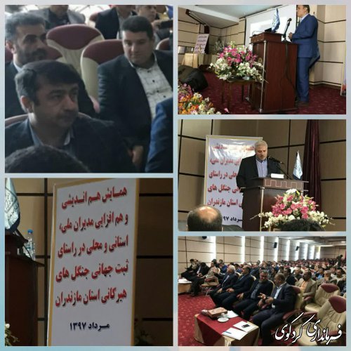 همایش هم اندیشی و هم افزایی مدیران ملی، استانی و محلی در راستای ثبت جهانی جنگلهای هیرکانی