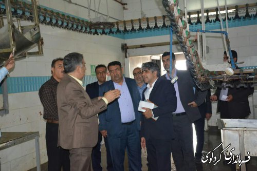 بازدید فرماندار و مدیرکل سیاسی و تقسیمات کشوری از کشتارگاه مرغ سفید زربال کردکوی