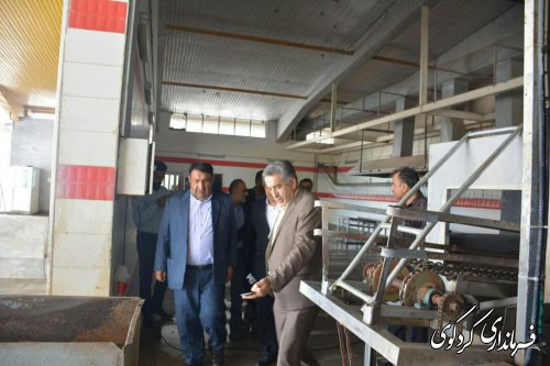 بازدید فرماندار و مدیرکل سیاسی و تقسیمات کشوری از کشتارگاه مرغ سفید زربال کردکوی