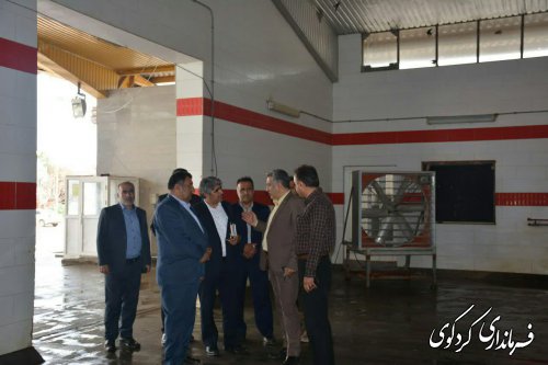 بازدید فرماندار و مدیرکل سیاسی و تقسیمات کشوری از کشتارگاه مرغ سفید زربال کردکوی