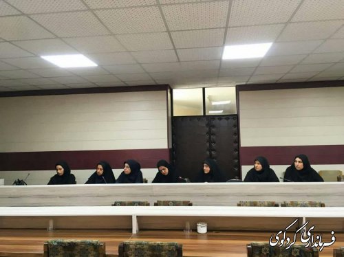 شناسایی ظرفیت ها حوزه صنعت شهرستان برای ورود بانوان به این حوزه ضروری است.