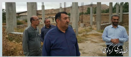 مسائل و مشکلات مردم روستای چمن ساوربررسی شد