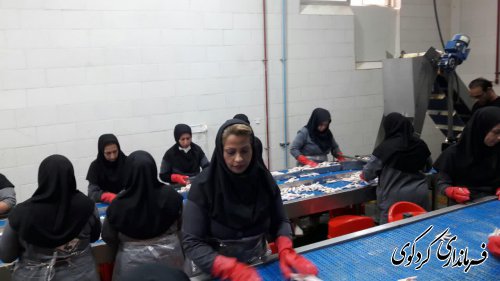تور یک روزه بازدید خبرنگاران کشور از مراکز تولیدی و اقتصادی کردکوی برگزار شد.