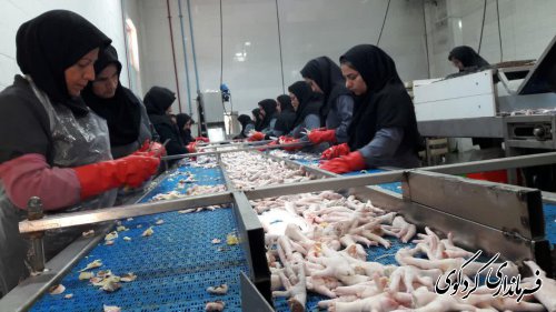 تور یک روزه بازدید خبرنگاران کشور از مراکز تولیدی و اقتصادی کردکوی برگزار شد.