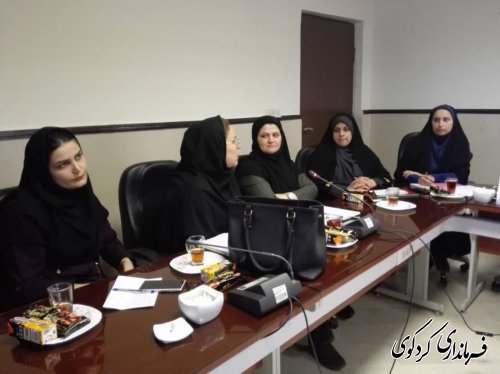 پنجمین جلسه کارگروه اجتماعی و فرهنگی شهرستان با موضوع پیشگیری از خودکشی در کردکوی