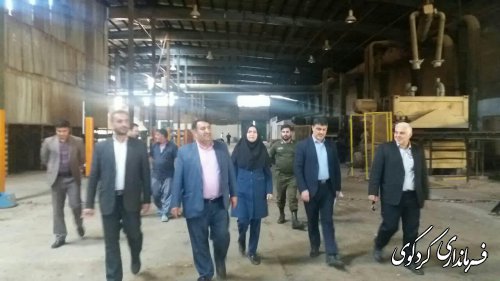  فرماندار کردکوی با تفاق مدیرکل صمت و تغدادی سرمایه گذار از کارخانه تولید نئوپان شهرستان بازدید کردند.