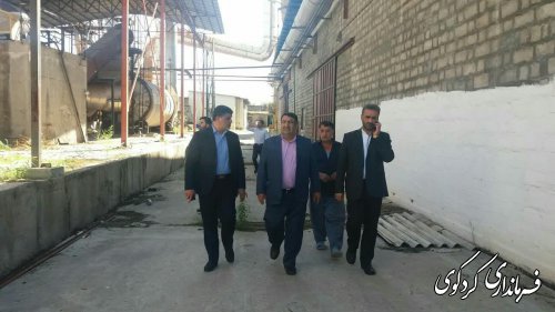  فرماندار کردکوی با تفاق مدیرکل صمت و تغدادی سرمایه گذار از کارخانه تولید نئوپان شهرستان بازدید کردند.