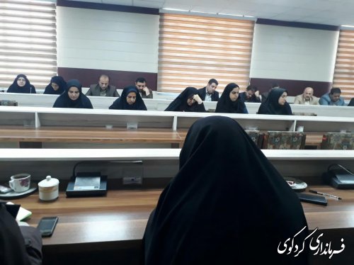 چهارمین کارگروه تخصصی زنان و خانواده شهرستان کردکوی برگزار شد