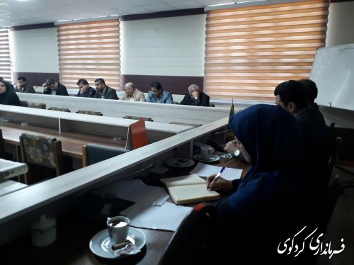 چهارمین کارگروه تخصصی زنان و خانواده شهرستان کردکوی برگزار شد