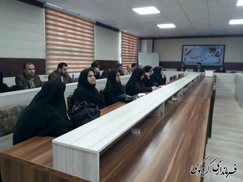 چهارمین کارگروه تخصصی زنان و خانواده شهرستان کردکوی برگزار شد