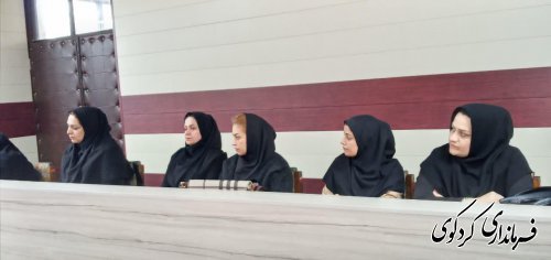 نخستین نشست شورای مشارکت های اجتماعی شهرستان با حضور خیرین کردکوی برگزار شد.