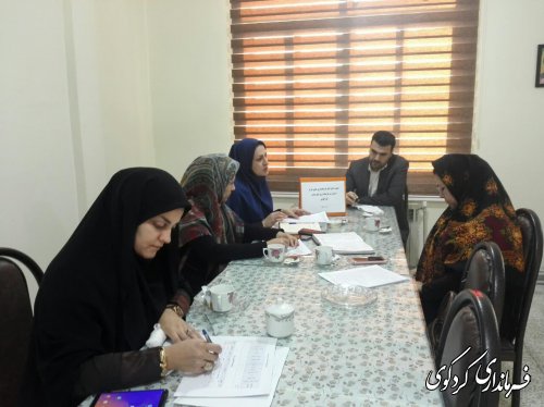 دومین نشست کارشناسان و مشاوران  امور بانوان و خانواده فرمانداری های غرب استان در کردکوی برگزار شد