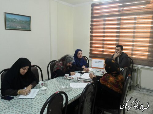 دومین نشست کارشناسان و مشاوران  امور بانوان و خانواده فرمانداری های غرب استان در کردکوی برگزار شد