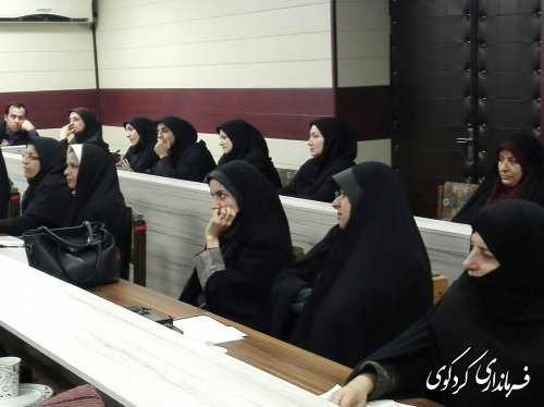 دومین نشست کارشناسان و مشاروان  امور بانوان و خانواده فرمانداری های غرب استان به میزبانی کردکوی برگزار شد