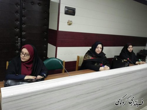دومین نشست کارشناسان و مشاروان  امور بانوان و خانواده فرمانداری های غرب استان به میزبانی کردکوی برگزار شد