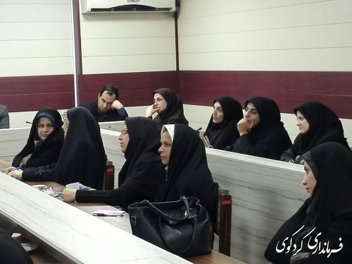 دومین نشست کارشناسان و مشاروان  امور بانوان و خانواده فرمانداری های غرب استان به میزبانی کردکوی برگزار شد