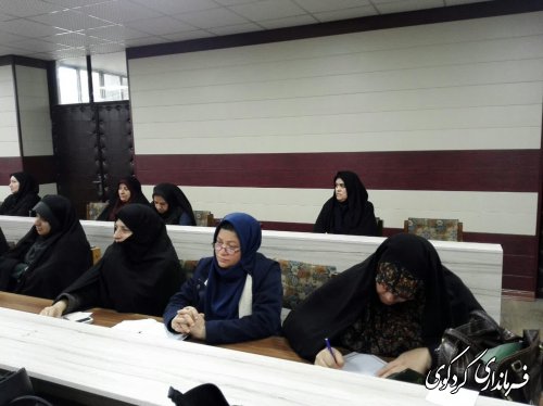 دومین نشست کارشناسان و مشاروان  امور بانوان و خانواده فرمانداری های غرب استان به میزبانی کردکوی برگزار شد