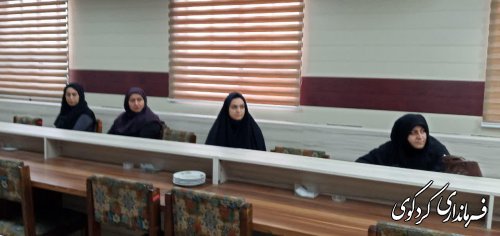 کارگاهی آموزشی جرائم اینترنتی و تخلفات فضای مجازی برکزار شد