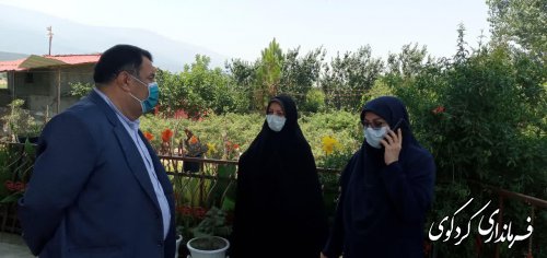 کردکوی مستعد   تولید گیاهان دارویی در استان میباشد