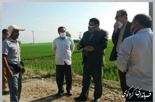 قدمنان فرماندار کردکوی : ۸۰ میلیارد تومان اعتبار  برای زهکش اراضی کشاورزی پائین دست شهرستان اختصاص یافت.