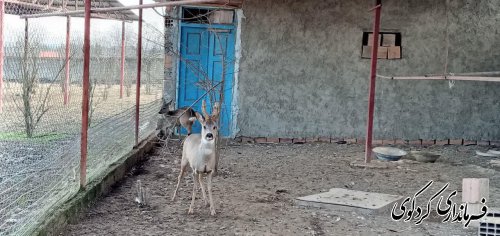 ایجاد کمربند سبز در محور کردکوی به بندر ترکمن الزامی است.