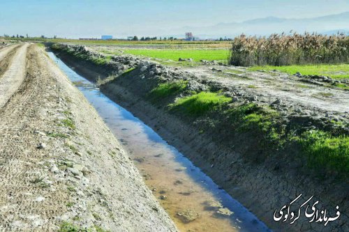 از زهکشی اراضی کشاورزی منطقه چلدین کردکویبازدید کرد.