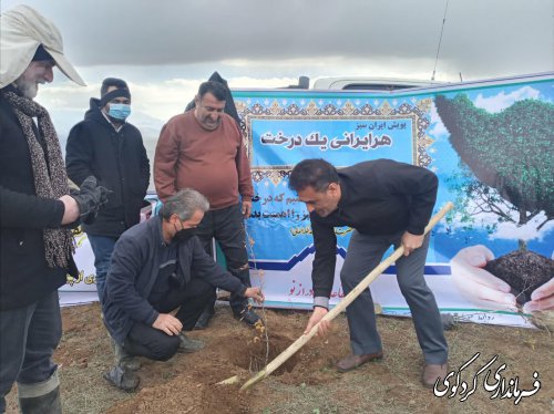 نشاندن بذر درخت در دل زمین،نشانی از باورمان به نگهداری  و احیای طبیعت است. 