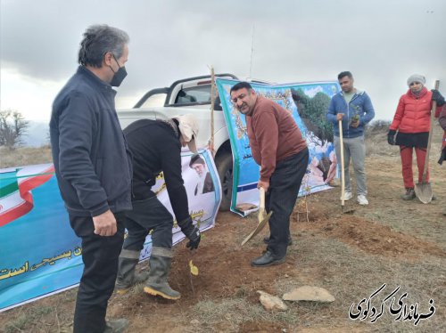 نشاندن بذر درخت در دل زمین،نشانی از باورمان به نگهداری  و احیای طبیعت است. 
