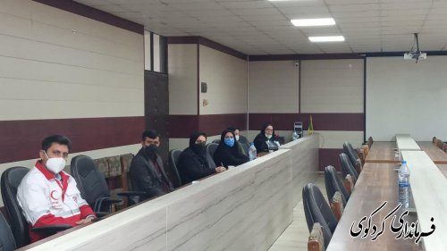 چهارمین نشست کارگروه تخصصی سلامت اجتماعی بانوان ....برگزار شد