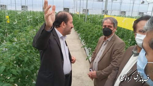 استفاده از همه ظرفیتهای موجود  در منطقه برای رشد و توسعه  بخش کشاورزی شد.