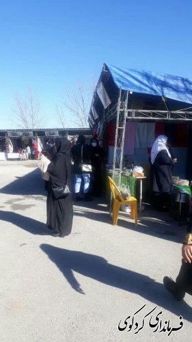 نمایشگاههای توانمندی ها و دستاوردهای حوزه زنان و خانواده شهرستان برگزار شد.