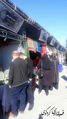 نمایشگاههای توانمندی ها و دستاوردهای حوزه زنان و خانواده شهرستان برگزار شد.