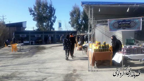 نمایشگاههای توانمندی ها و دستاوردهای حوزه زنان و خانواده شهرستان برگزار شد.