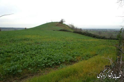 ثبت تپه تاریخی " خرس کشی " به شماره 33541 در فهرست آثار ملی کشور