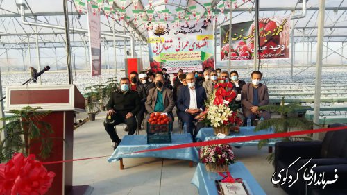 فرماندار کردکوی در آئین افتتاح متمرکز پروژه های شهرستان: