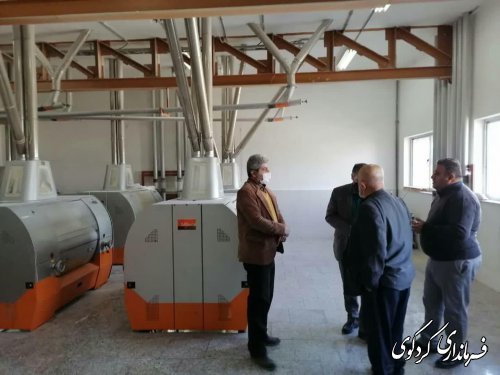بازدید سر زده فرماندار از کارخانه آرد نیک.