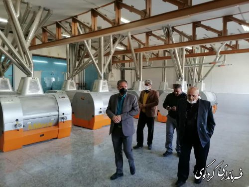 بازدید سر زده فرماندار از کارخانه آرد نیک.